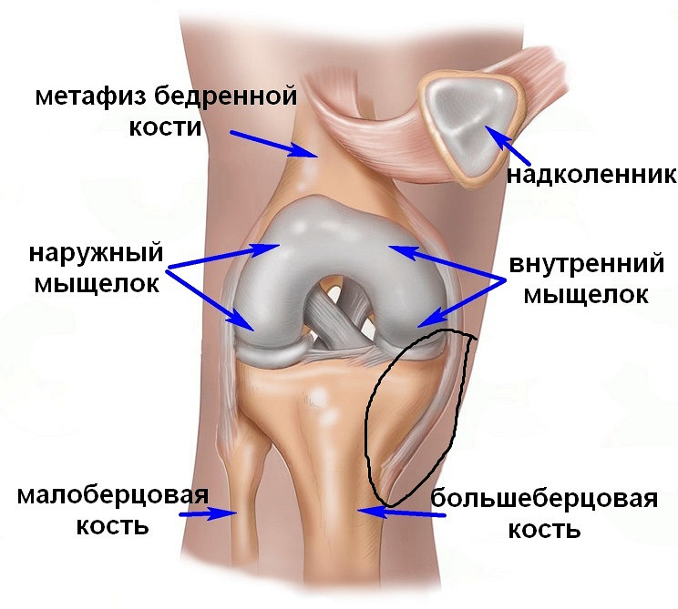 Глава 4 Естественные методы профилактики и лечения Боли в крестце при различных заболеваниях. Как лечить боль