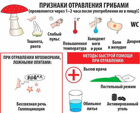 Что делать при отравлении просроченными таблетками