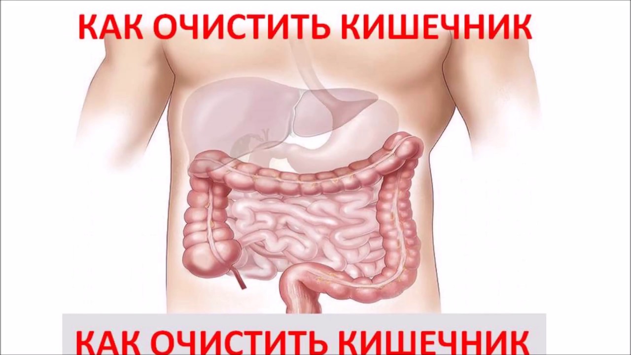 Правильно очистить кишечник домашних условиях 679