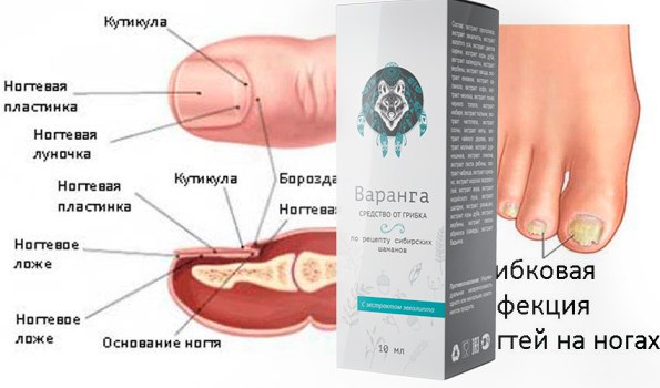 Отделка стен кухни декоративным камнем своими руками От героев былых времен - Инфоурок