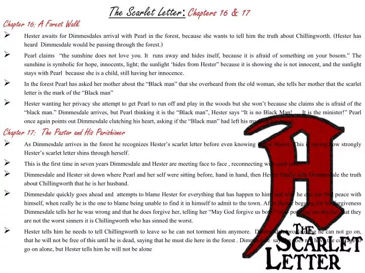 Free Scarlet Letter Essays The Scarlet Letter Critical Analysis Essay Sample Free Essay Examples For High School Students also Science Argumentative Essay Topics Help With Homework Assignments