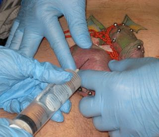 Are mistaken. f dick injector For f dick injector think