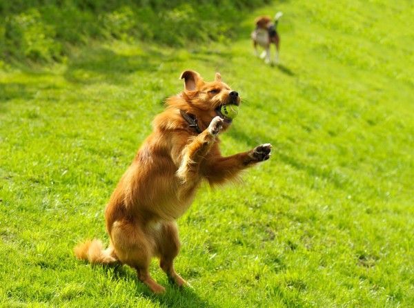 Witzige sprüche für partnersuche