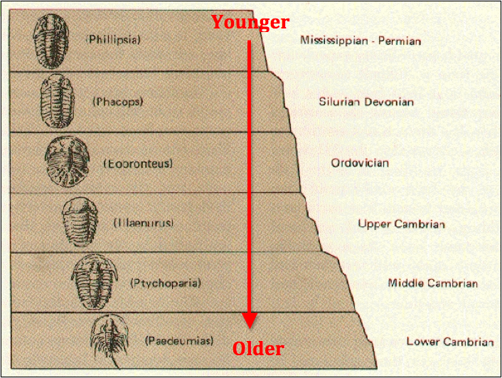 Dating fossiler definisjon