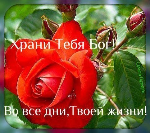 xrani-tebya-bog-animaciya.gif
