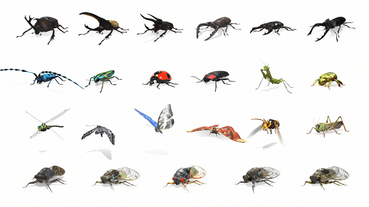 Виды насекомые список