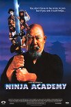 Академия ниндзя / Ninja Academy