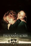 Тысяча акров / A Thousand Acres