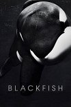 Черный плавник / Blackfish