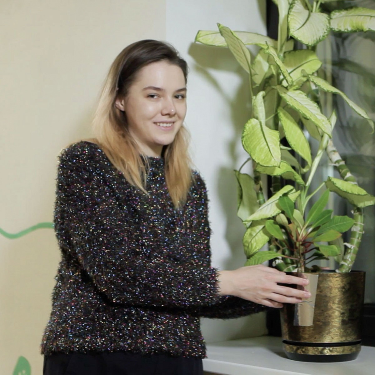 АСМР «Афиши»: разговоры с растениями вместе с «Растительным вестником»