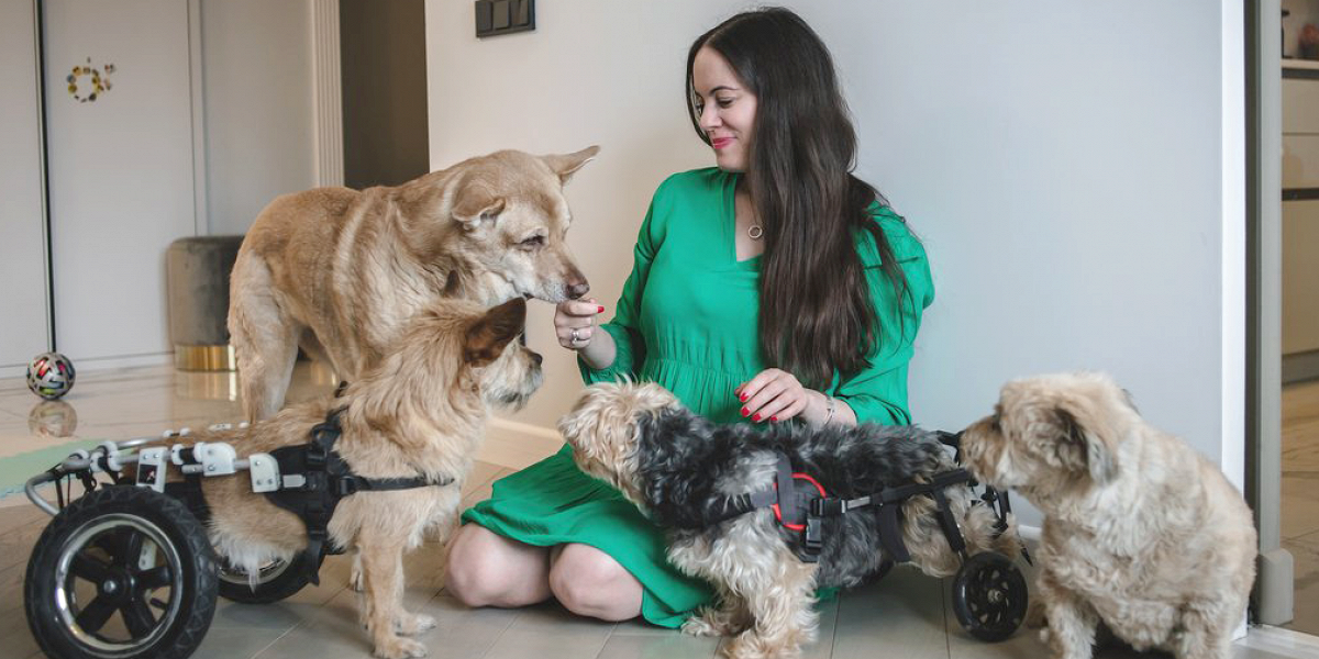 Познакомьтесь с москвичкой, которая смогла пристроить 700 бездомных собак