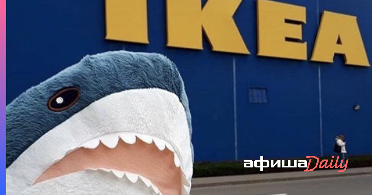 Shark in Ikea