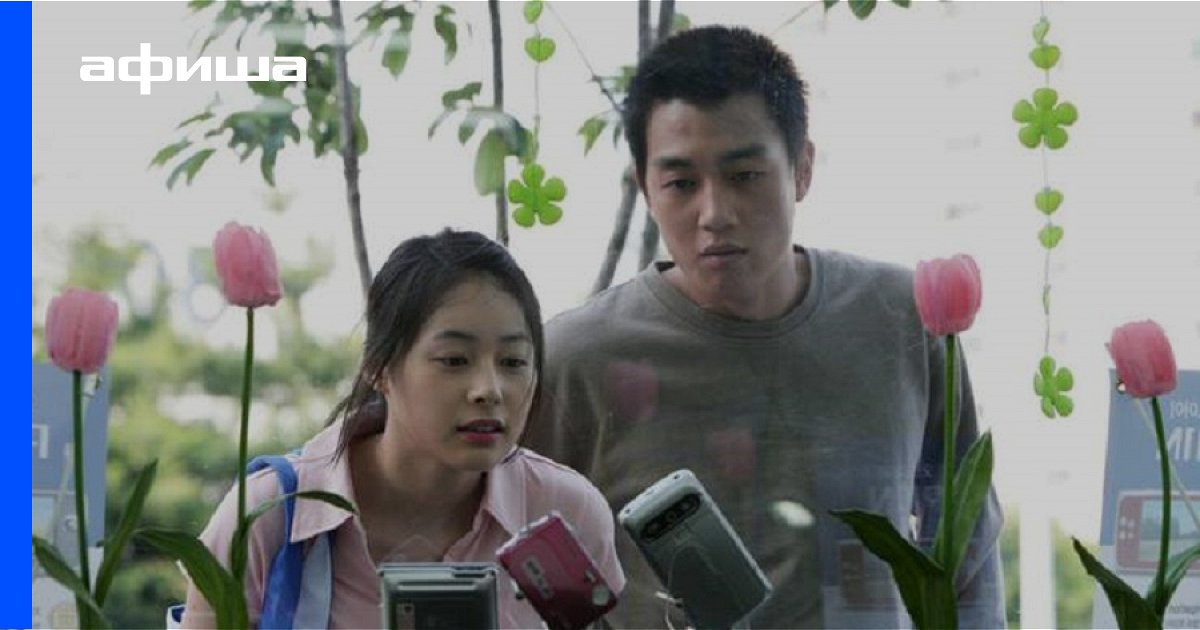 подсолнух 2006