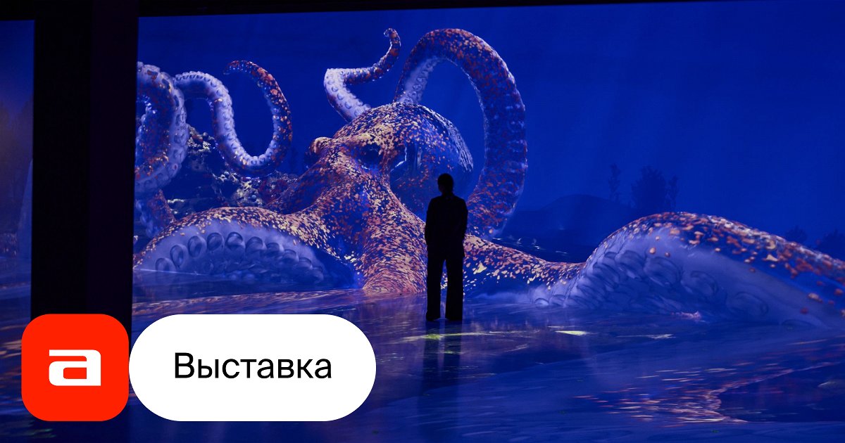 Проекционный зал. Атомариум сочи. , 3 отзывы. Цифровое шоу vi океан. Иммерсивное арт-пространство luminar москва.