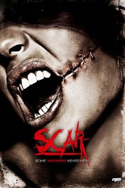 Шрам 3D / Scar