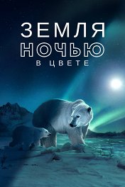 Земля ночью в цвете / Earth at Night in Color