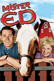 Мистер Эд / Mister Ed