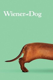Такса / Wiener-Dog