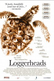 Тупицы / Loggerheads