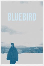 Голубая птица / Bluebird