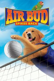 Король воздуха: Возвращение / Air Bud: Spikes Back