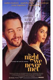 Несостоявшаяся встреча / The Night We Never Met