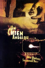 Андалузский пес / Un chien andalou