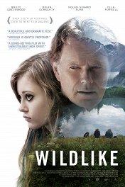 Wildlike / Wildlike