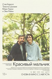 Красивый мальчик / Beautiful Boy