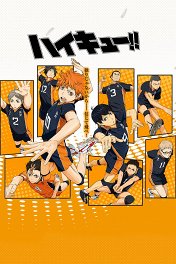 Волейбол!! / Haikyuu!!