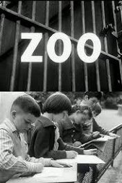 Зоопарк / Zoo