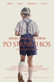 Босиком по стерне / Po strnisti bos