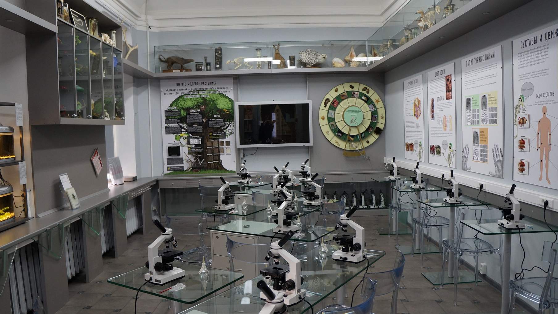 Музей Тимирязева прозрачная наука