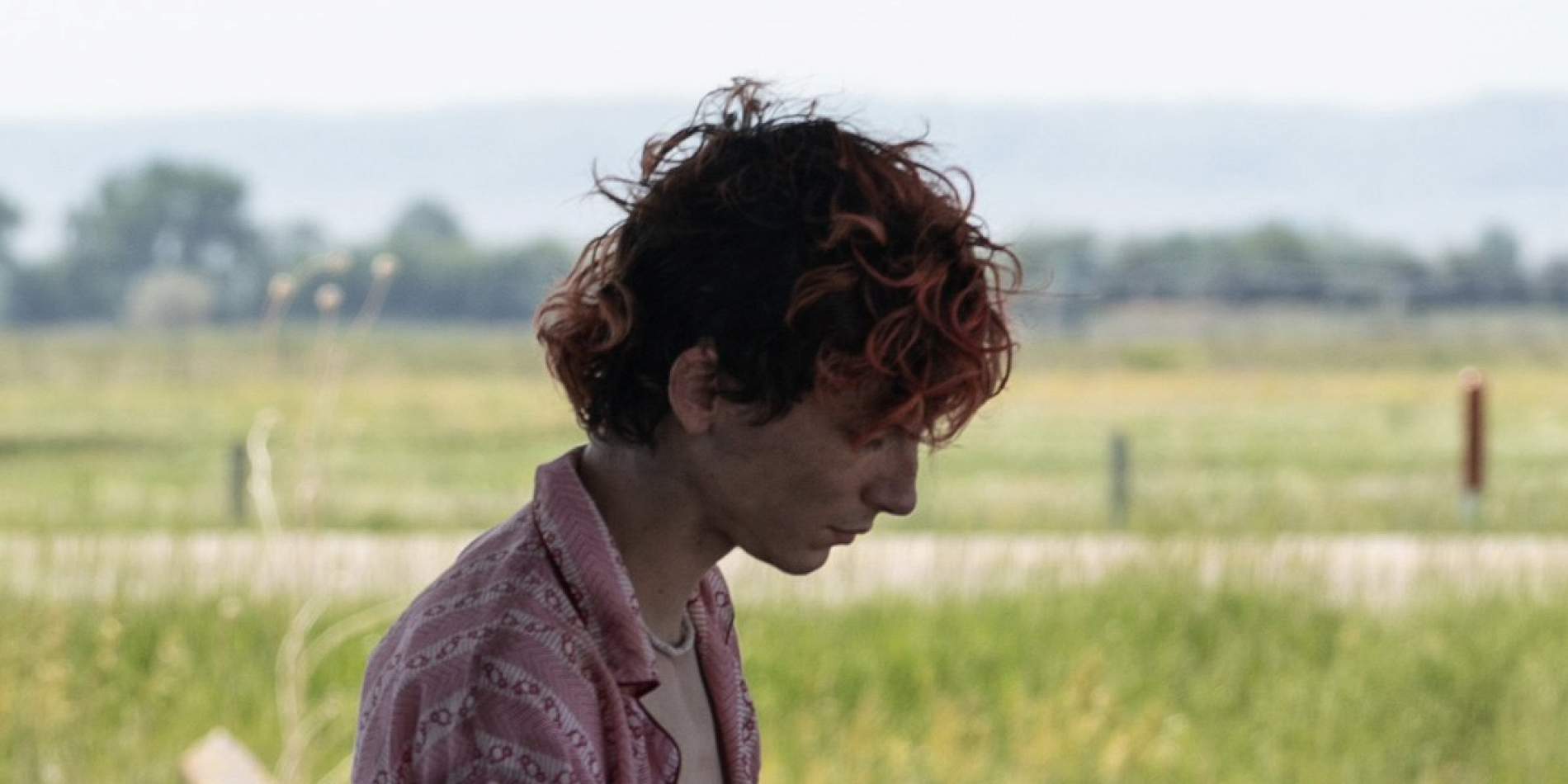 Эти удивительные насекомые, целиком и полностью созданные