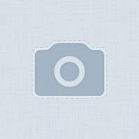 Фото Геннадий Нетов
