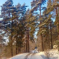 Фото Наля Истомина