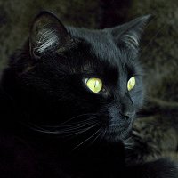 Фото Kamilla Chernick