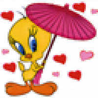 Фото tweety