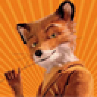 Фото Misterfox