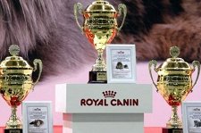 Гран-при Royal Canin – афиша