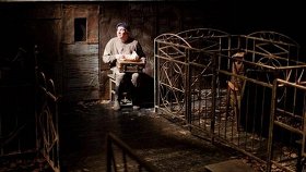 Божьи коровки возвращаются на землю