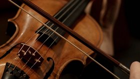«Времена года» Вивальди и шедевры классики. Концерт во дворце
