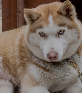 7 детских программ, которые предлагают московские парки весной