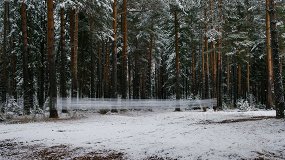 Аня Марченкова. Помеха в пейзаже