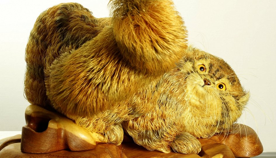 Выставки: Сергей Бобков и Мария Медовикова. Пером и топором Выставки: Сергей Бобков и Мария Медовикова. Пером и топором