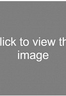 Black muscle porn bisexual free Fuck my big hairy dick