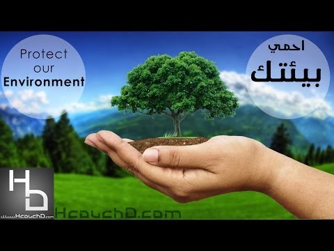 Best English Essays Examples Of Thesis Statements For Narrative Essays also College Essay Paper Essay On Conservation Of Environment Essay Of Science